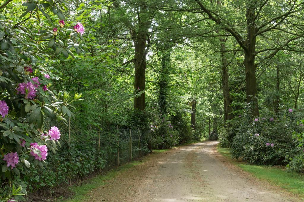 Lage Mierde Bungalowpark Vogelenzang 빌라 외부 사진