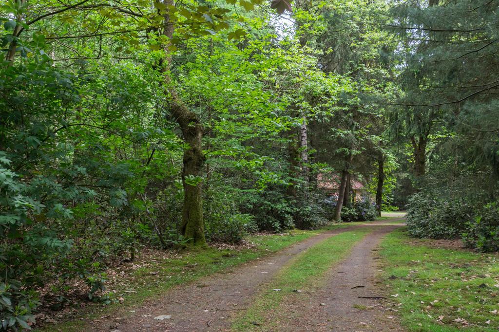 Lage Mierde Bungalowpark Vogelenzang 빌라 외부 사진