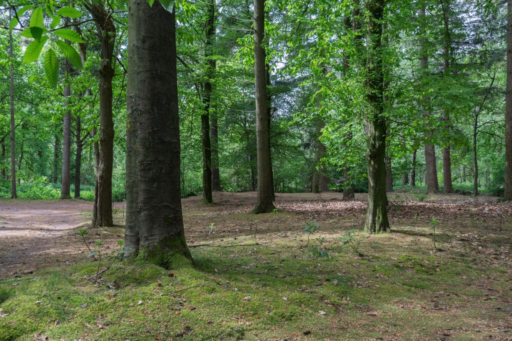 Lage Mierde Bungalowpark Vogelenzang 빌라 외부 사진