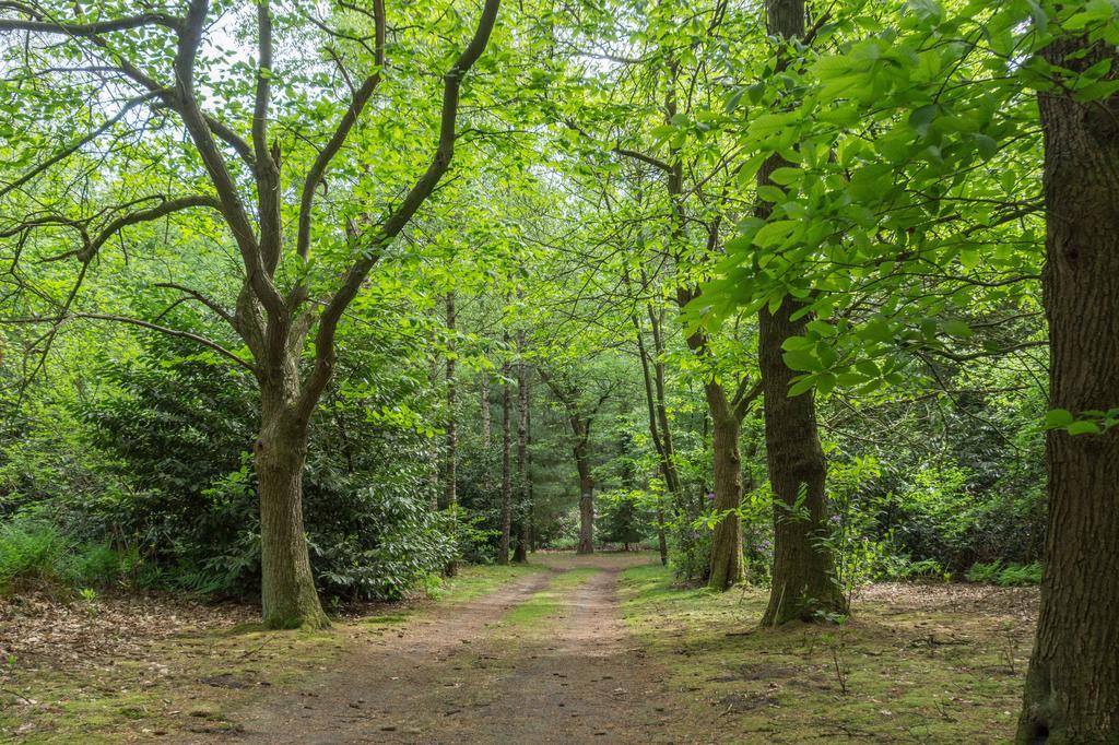 Lage Mierde Bungalowpark Vogelenzang 빌라 외부 사진