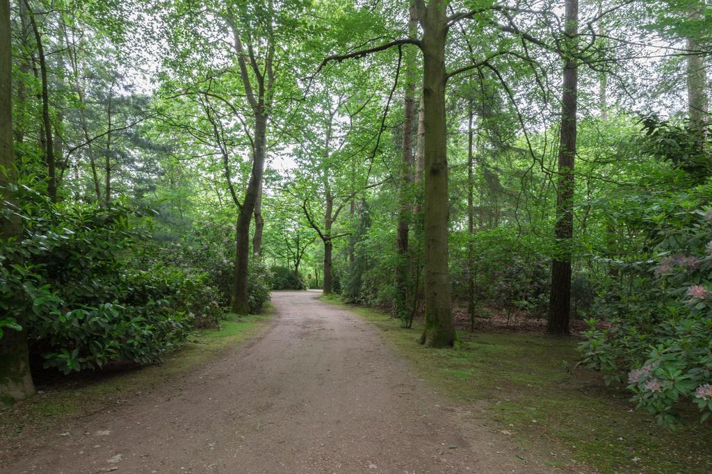 Lage Mierde Bungalowpark Vogelenzang 빌라 외부 사진